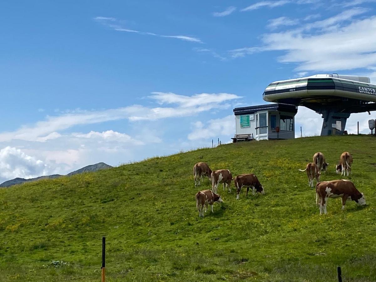 Ferienwohnung Penthaus Kitzebüheler Alpen Neukirchen am Großvenediger Exterior foto
