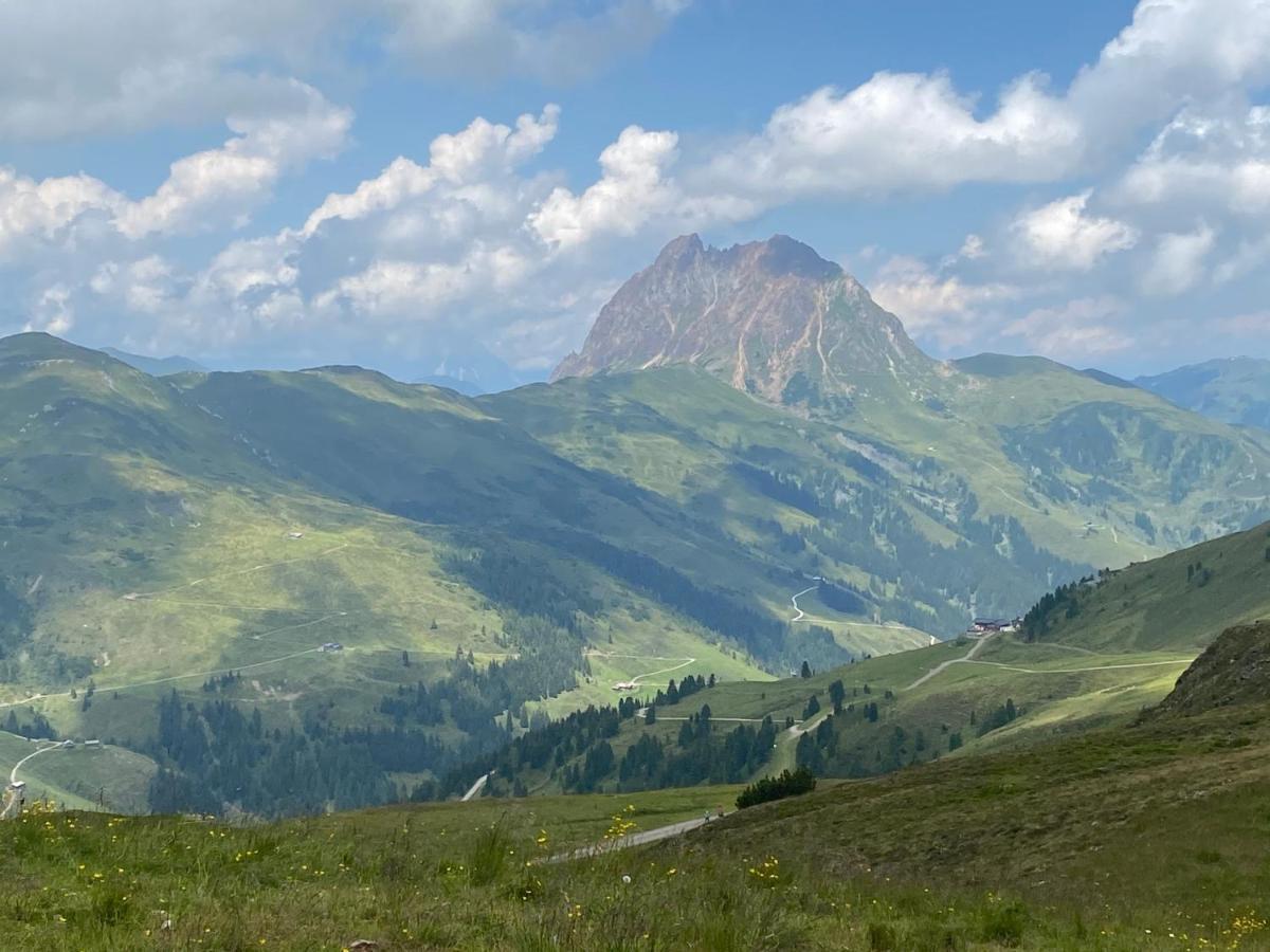 Ferienwohnung Penthaus Kitzebüheler Alpen Neukirchen am Großvenediger Exterior foto